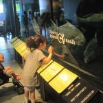 LOTS of aquariums
