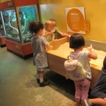 Sandbox with rice