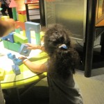 Experimenting with Stop-Motion movies