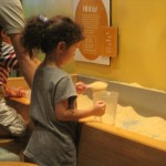 Back at the rice sandbox