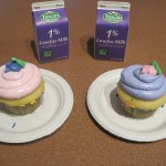 Yummy treats at the cafe